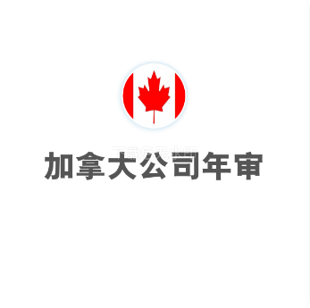 加拿大公司年审