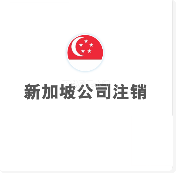 新加坡公司注销